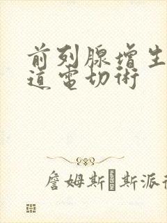 前列腺增生经尿道电切术