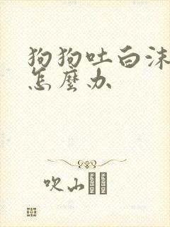 狗狗吐白沫黏液怎么办