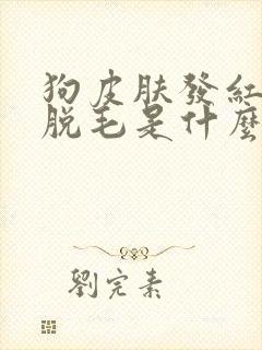 狗皮肤发红发痒脱毛是什么原因