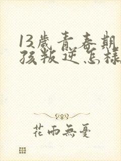 13岁青春期男孩叛逆怎样引导