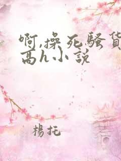 啊,操死骚货了高h小说