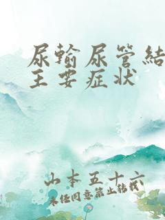 尿输尿管结石的主要症状