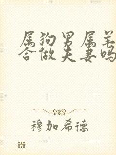 属狗男属羊女适合做夫妻吗