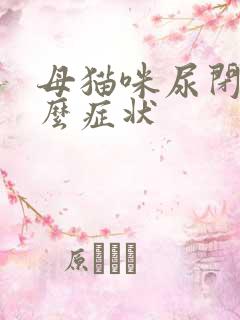 母猫咪尿闭是什么症状