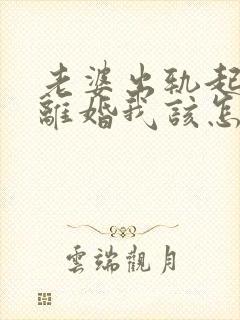 老婆出轨起诉我离婚我该怎么办