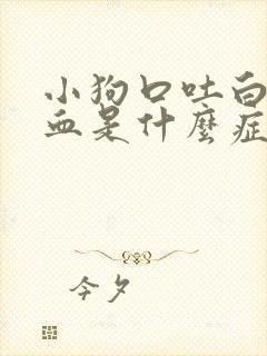 小狗口吐白沫拉血是什么症状?