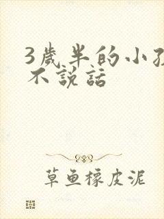 3岁半的小孩还不说话