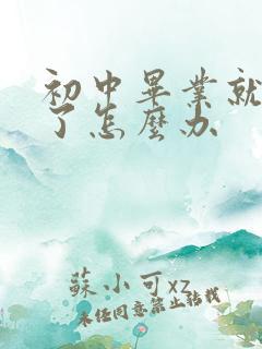 初中毕业就辍学了怎么办