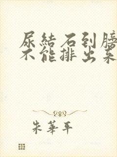 尿结石到膀胱能不能排出来