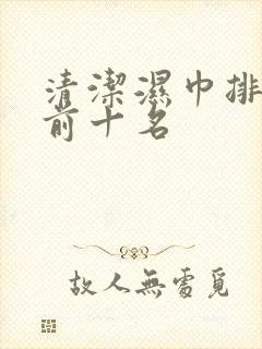 清洁湿巾排行榜前十名