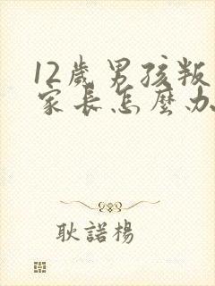 12岁男孩叛逆家长怎么办