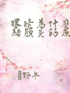 眼睛为什么会得结膜炎的原因