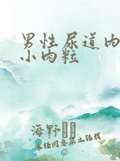 男性尿道内口长小肉粒