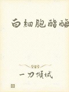 白细胞酯酶十十