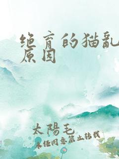 绝育的猫乱尿的原因