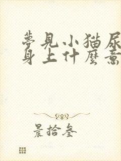 梦见小猫尿在我身上什么意思