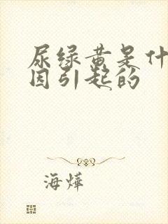 尿绿黄是什么原因引起的