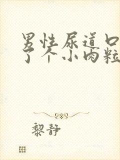 男性尿道口内长了个小肉粒