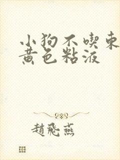 小狗不吃东西吐黄色粘液