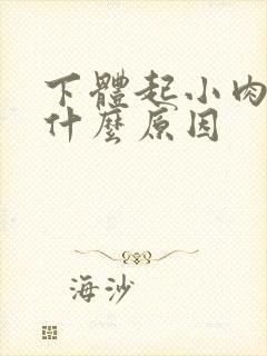 下体起小肉粒是什么原因