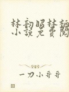 林韵昭林栖月的小说免费阅读