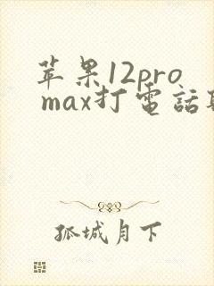 苹果12pro max打电话听不见声音