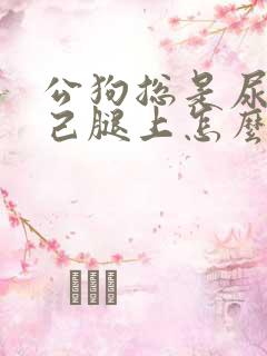 公狗总是尿在自己腿上怎么办