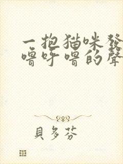 一抱猫咪发出呼噜呼噜的声音