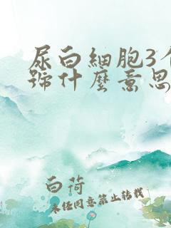 尿白细胞3个加号什么意思