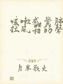 咳嗽感觉肺里有拉风箱的声音