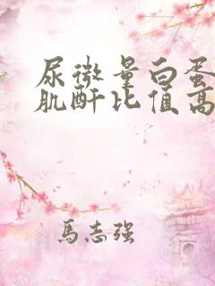 尿微量白蛋白和肌酐比值高