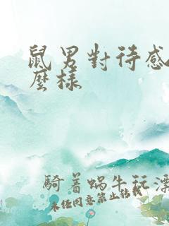 鼠男对待感情怎么样