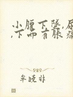 小腹下坠,尿频,下面有胀痛感