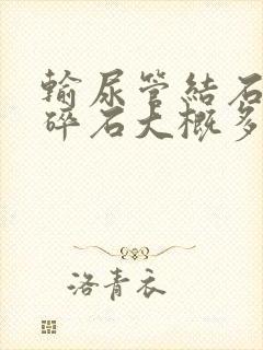 输尿管结石体外碎石大概多少钱