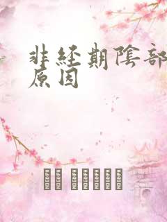 非经期阴部流血原因