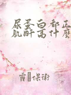 尿蛋白都正常,肌酐高什么原因?