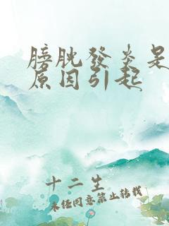 膀胱发炎是什么原因引起