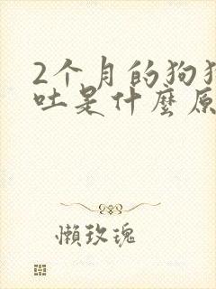 2个月的狗狗呕吐是什么原因