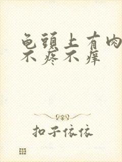 龟头上有肉疙瘩不疼不痒