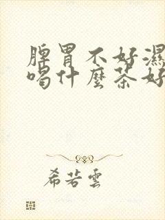 脾胃不好湿气重喝什么茶好