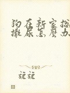 狗在新家总是乱撒尿怎么办