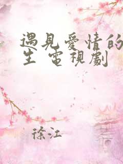 遇见爱情的利先生 电视剧