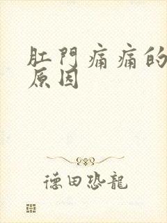 肛门痛痛的什么原因