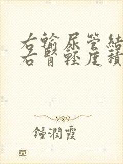 右输尿管结石并右肾轻度积水