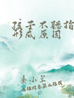 孩子不听指令的形成原因