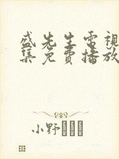 盛先生电视剧全集免费播放