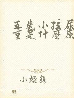 五岁小孩尿臭味重是什么原因