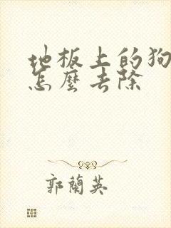 地板上的狗尿味怎么去除