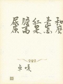 尿胆红素和尿胆原高是怎么回事