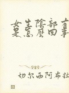 女生阴部有腥味是怎么回事